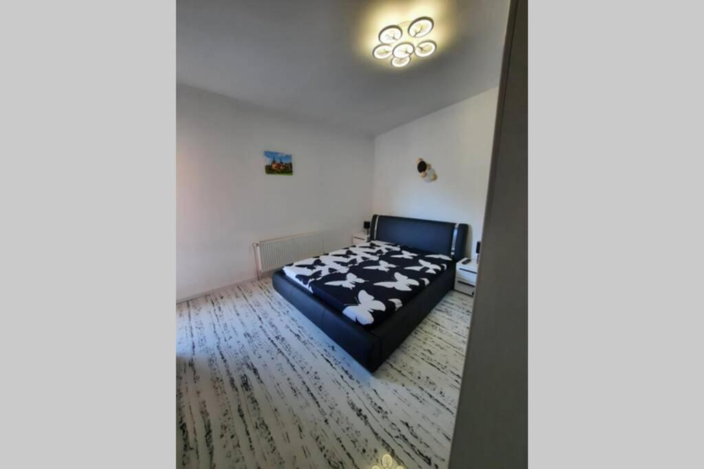 Apartament Erika 시나이아 외부 사진