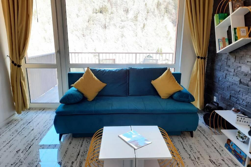 Apartament Erika 시나이아 외부 사진