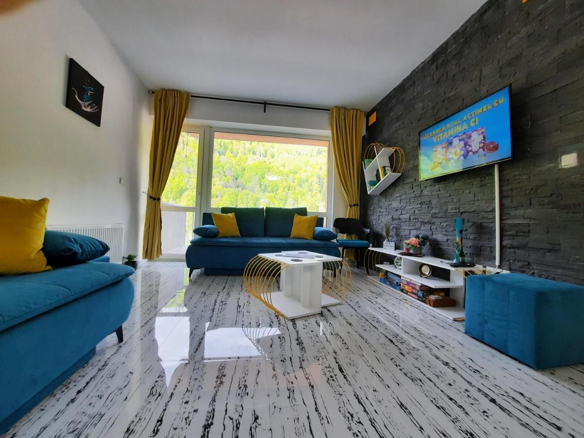 Apartament Erika 시나이아 외부 사진