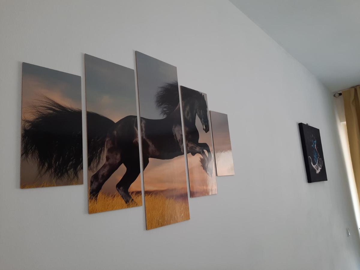 Apartament Erika 시나이아 외부 사진