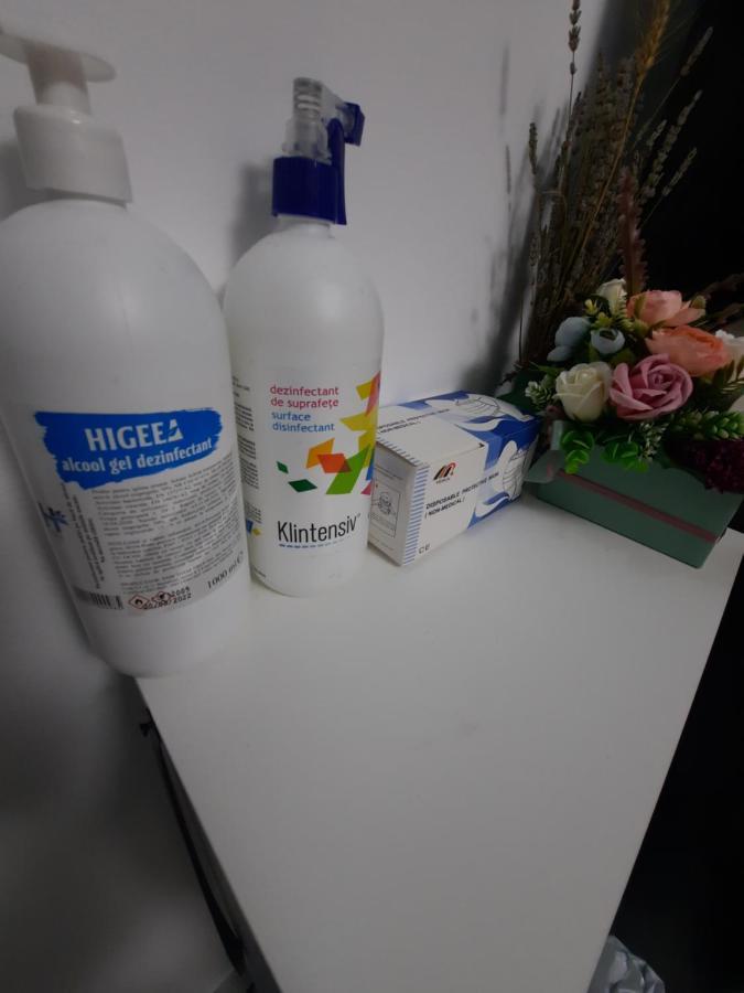 Apartament Erika 시나이아 외부 사진