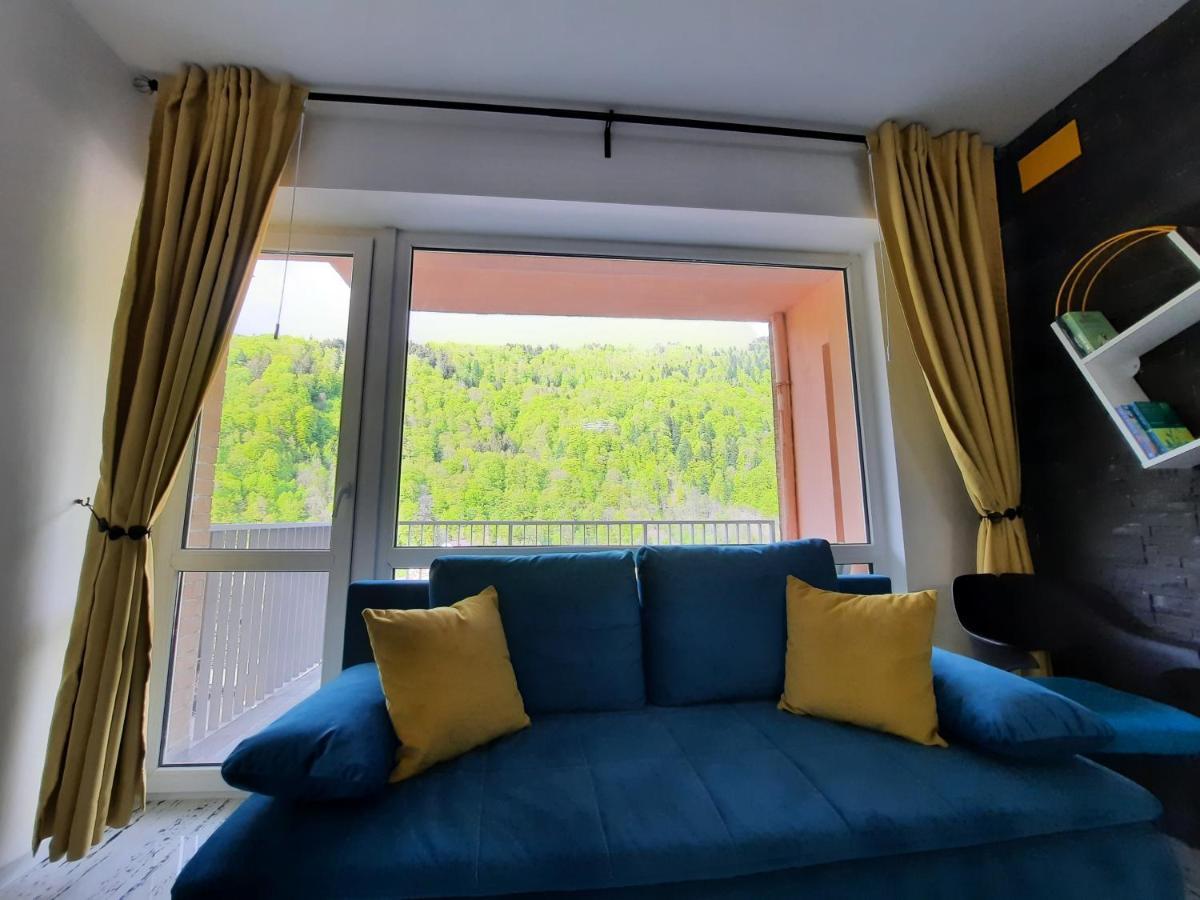 Apartament Erika 시나이아 외부 사진