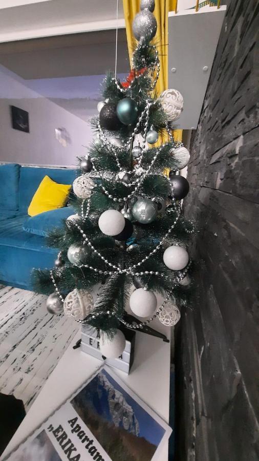 Apartament Erika 시나이아 외부 사진