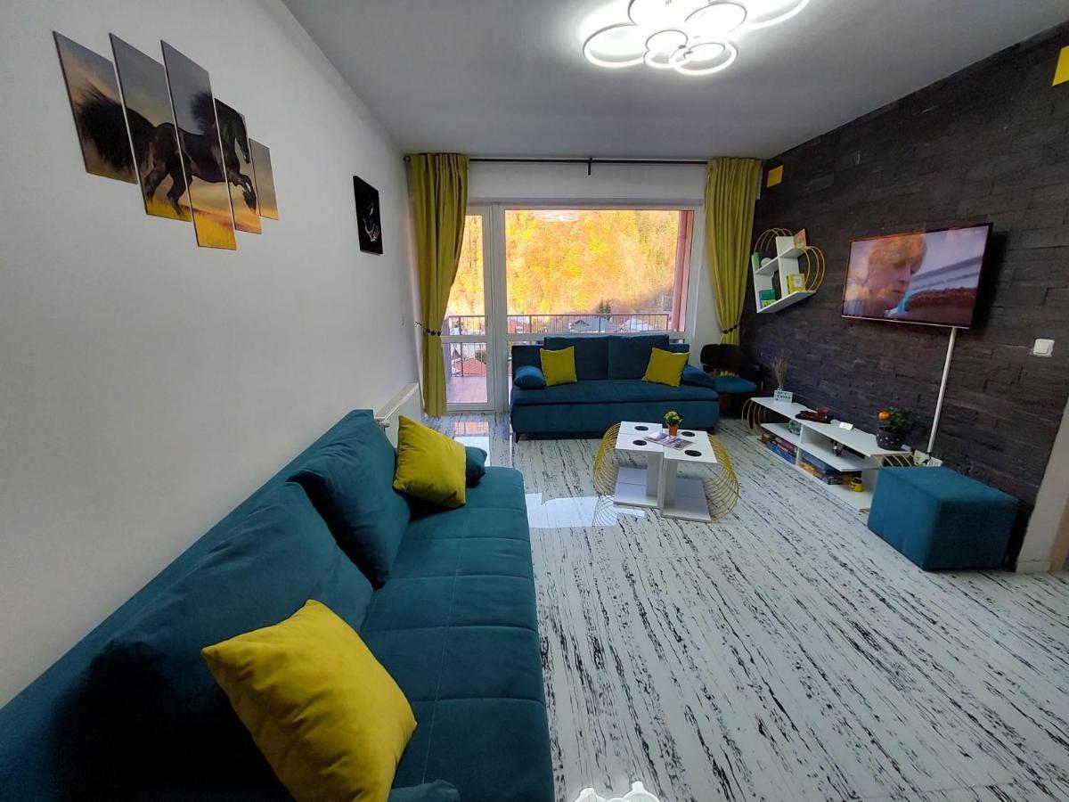 Apartament Erika 시나이아 외부 사진