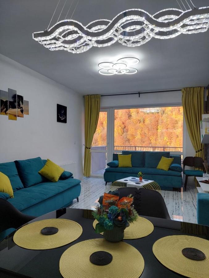 Apartament Erika 시나이아 외부 사진