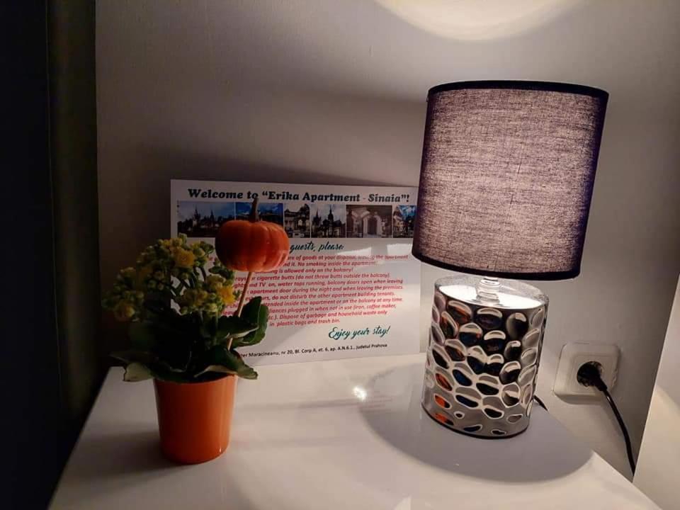 Apartament Erika 시나이아 외부 사진